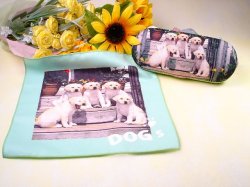 �ᥬ�ͥ��å����åȡ���050094