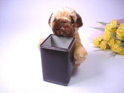 �ᥬ�ͥ���������120043