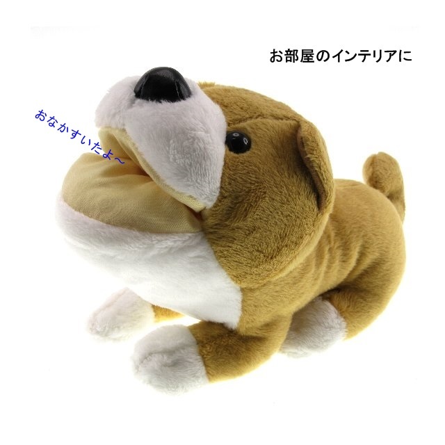 アニマルスタンド 柴犬 [メガネケース<>ファンシー] キクチメガネ